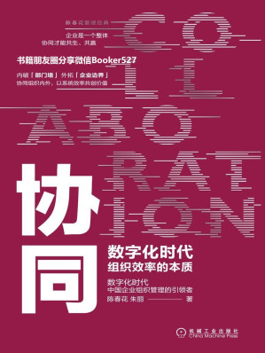 协同：数字化时代组织效率的本质.AZW3