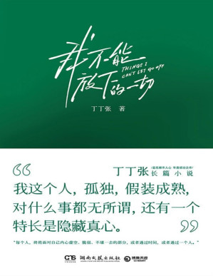 [PDF] 我不能放下的一切（成年人的乏力与困境。丁丁张阔别四年长篇小说，直抵都市人心，年度感动之作！）