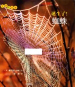 [PDF] 生命的故事 诞生了！蜘蛛