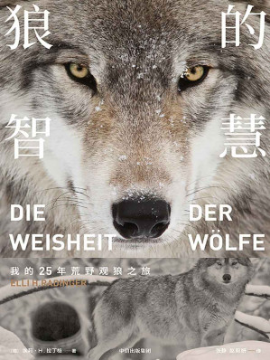 [EPUB] 狼的智慧（实地观察的野生动物世界。真实的狼，并非古老文化中宣扬的那样凶险、残暴，反而有着诸多值得人类学习、重视的地方）