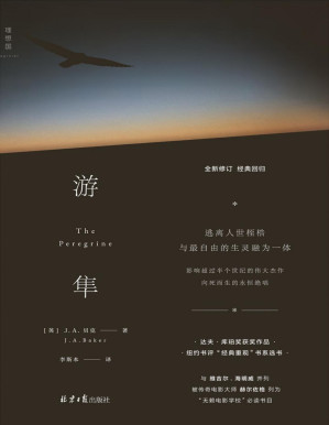 [PDF] 游隼