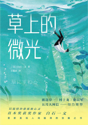 [EPUB] 草上的微光【直木奖获奖作家白石一文治愈体小说，重新发现人间值得的觉醒之书，渡边淳一、村上龙、骆以军等推荐！】