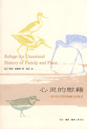 [PDF] 心灵的慰藉：一部非同寻常的地域与家族史