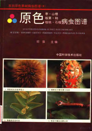 [PDF] 原色枣·山楂·板栗·柿·核桃·石榴病虫图谱
