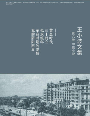 [PDF] 王小波文集.第六卷