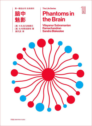 [PDF] 脑中魅影