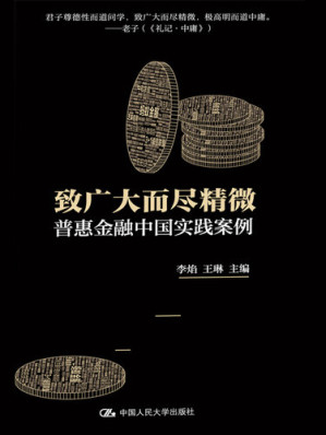 [EPUB] 致广大而尽精微：普惠金融中国实践案例