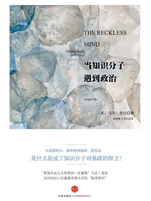 [EPUB] 当知识分子遇到政治