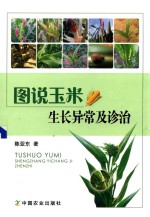 [PDF] 图说玉米生长异常及诊治