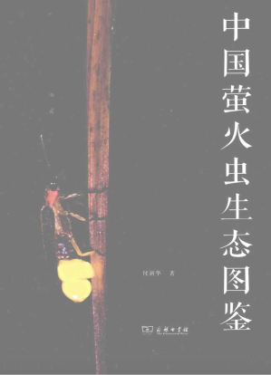 [PDF] 中国萤火虫生态图鉴
