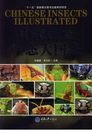 [PDF] 中国昆虫生态大图鉴