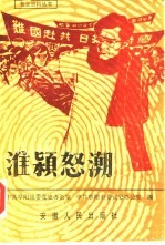 [PDF] 淮颍怒潮