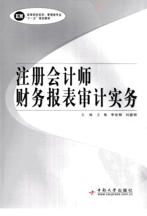 [PDF] 注册会计师财务报表审计实务