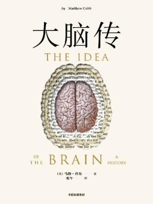 [EPUB] 大脑传（罕见的中文通俗脑科学全史。《癌症传》《基因传》般的科学史诗；陈嘉映作序）