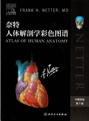 [PDF] 奈特人体解剖学彩色图谱_2019年第7版