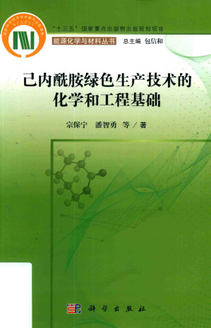 [PDF] 己内酰胺绿色生产技术的化学和工程基础