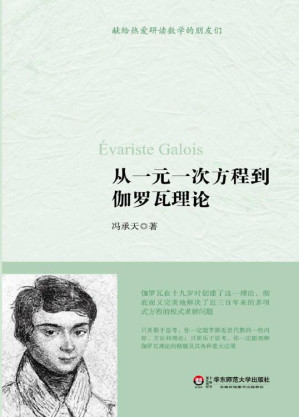 从一元一次方程到伽罗瓦理论.EPUB
