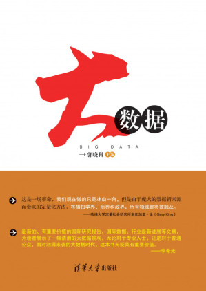 大数据.PDF