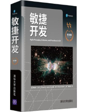 [PDF] 敏捷开发（纪念版）
