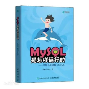 [PDF] MySQL是怎样运行的