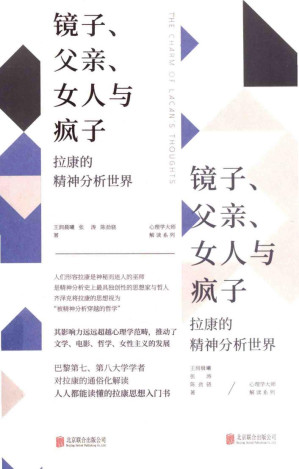 心理学大师解读系列 镜子父亲女人与疯子 拉康的精神分析世界.PDF