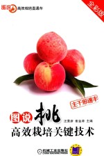 [PDF] 图说桃高效栽培关键技术