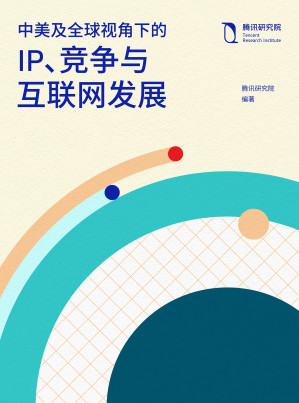 [EPUB] 中美及全球视角下的IP、竞争与互联网发展
