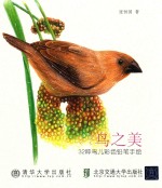 [PDF] 鸟之美 32只鸟儿彩色铅笔手绘