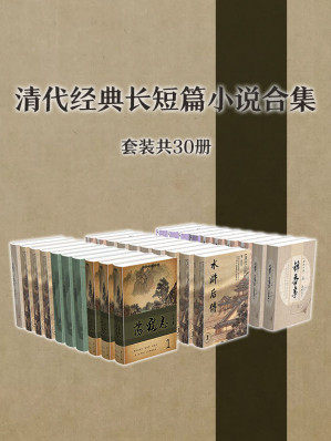 [EPUB] 清代经典长短篇小说作品集（套装共30册）（胡适给予高度评价、张爱玲为之鸣不平的文学作品，经典的文字在今天读来，仍别有深意）