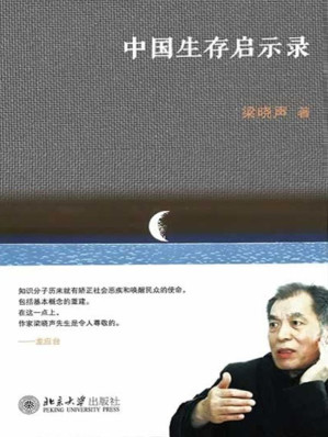 [AZW3] 中国生存启示录