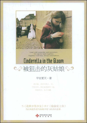 [PDF] 被狙击的灰姑娘