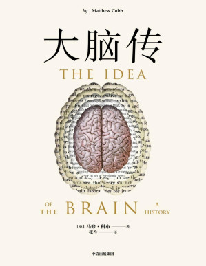 [PDF] 大脑传（罕见的中文通俗脑科学全史。《癌症传》《基因传》般的科学史诗；陈嘉映作序）