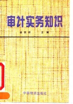 [PDF] 审计实务知识