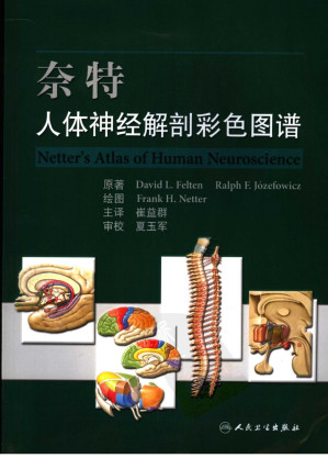 [PDF] 奈特人体神经解剖彩色图谱