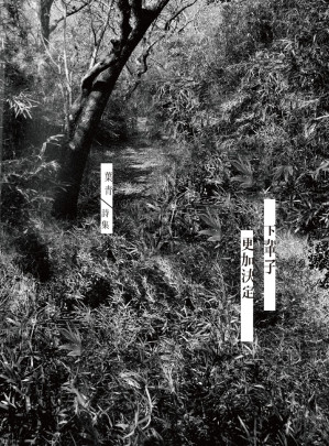 [EPUB] 下輩子更加決定：葉青詩集