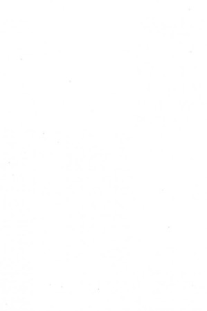 詩話叢林校注.PDF