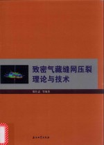 [PDF] 致密气藏缝网压裂理论与技术