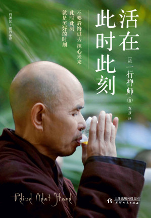 [EPUB] 活在此时此刻（一本教你活出生命意义的灵性之书！赖声川、梁文道、张德芬、奥普拉推崇的佛教宗教大师）