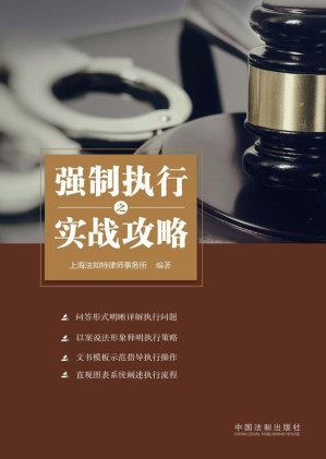 [EPUB] 强制执行之实战攻略