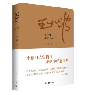 [PDF] 王小波思想小品