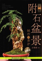 [PDF] 图解附石盆景制作与养护 彩图版