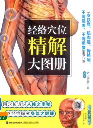 [PDF] 经络穴位精解大图册