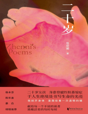 [PDF] 二十岁（杨本芬、陈年喜推荐，致敬活着的每时每刻）