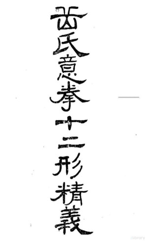 [PDF] 岳氏意拳十二形精义