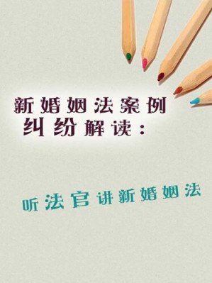 [EPUB] 新婚姻法案例纠纷解读 (The new Marriage Law Dispute Cases Interpretation): 听法官讲新婚姻法 (about the new marriage law)