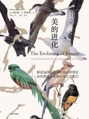 [EPUB] 美的进化