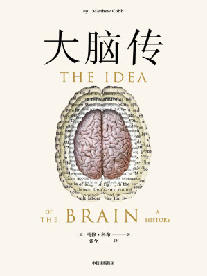 [EPUB] 大脑传（罕见的中文通俗脑科学全史。《癌症传》《基因传》般的科学史诗；陈嘉映作序）
