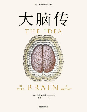[PDF] 大脑传（罕见的中文通俗脑科学全史。《癌症传》《基因传》般的科学史诗；陈嘉映作序）