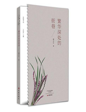 [PDF] 繁华深处的街巷