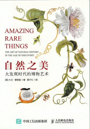 [PDF] 自然之美